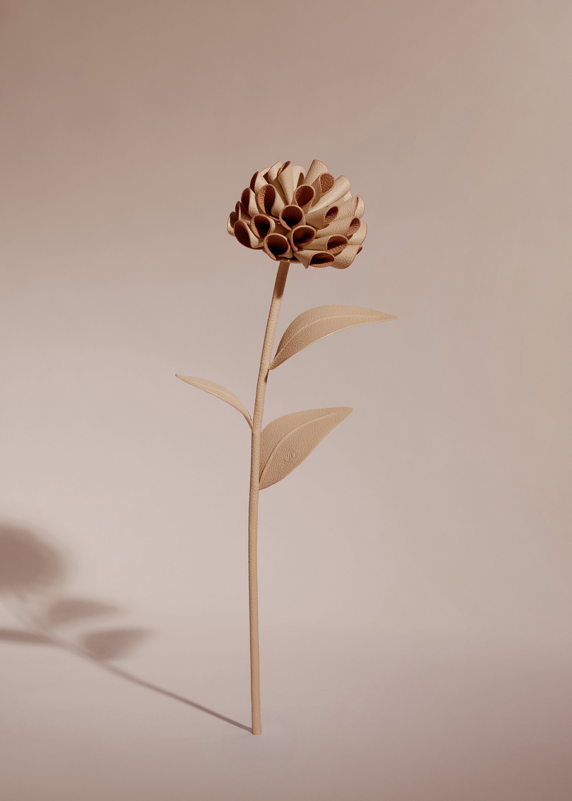 Dalium Flower - Duo Beige
