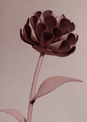 Dalium Flower - Duo Lilac