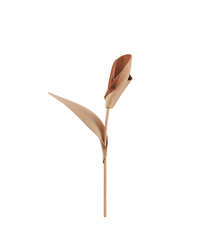 Pili Flower - Duo Beige
